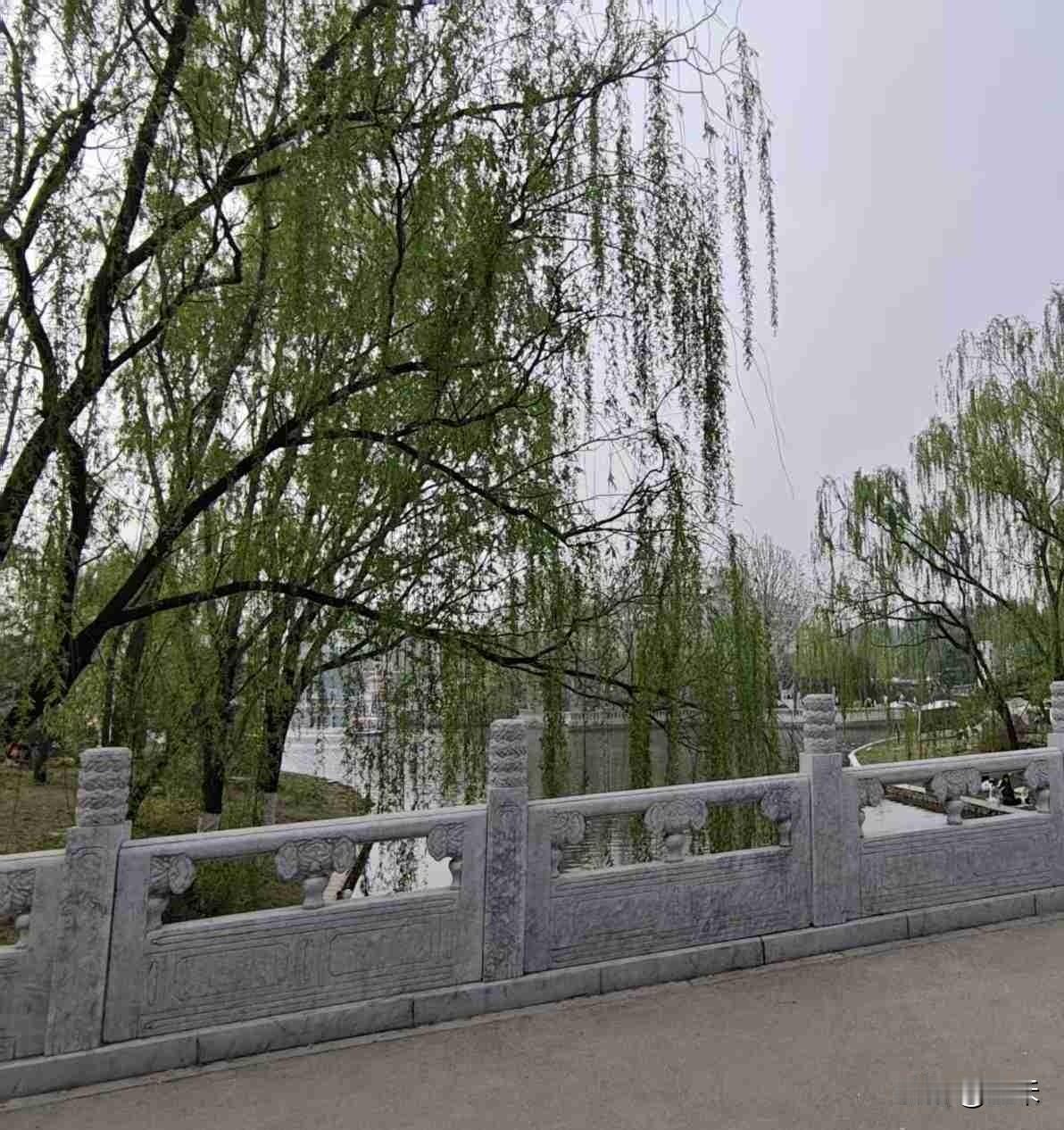 今天是5月17日，星期日，我们这里阴天，并且下午下了中雨，最高气温零上19度，最