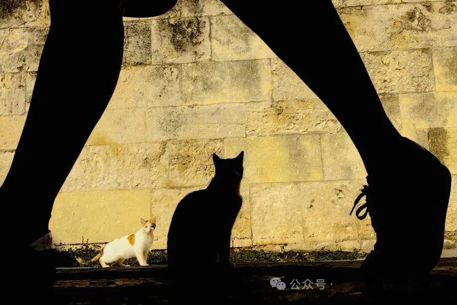 摄影师Kağan Baştimar街头影像