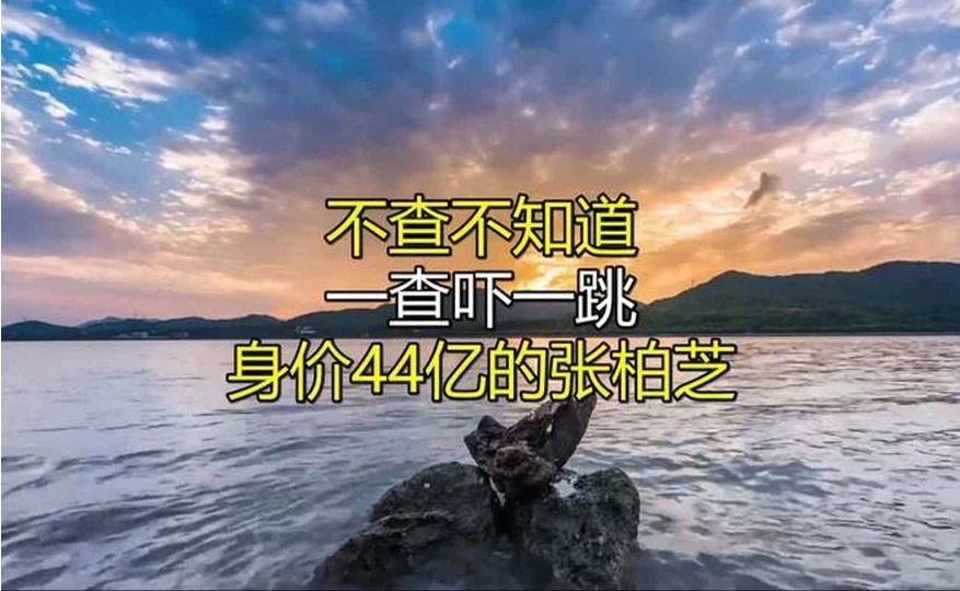 不查不知道，一查吓一跳，身价44亿的张柏芝，私下生活壕到离谱