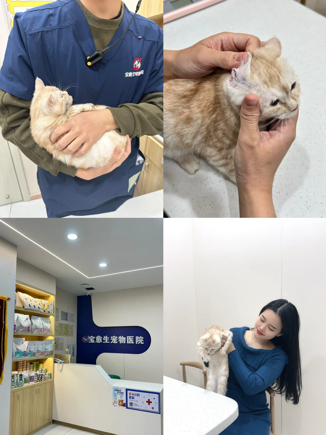 惠州养宠人看过来 | 这家真的很靠谱