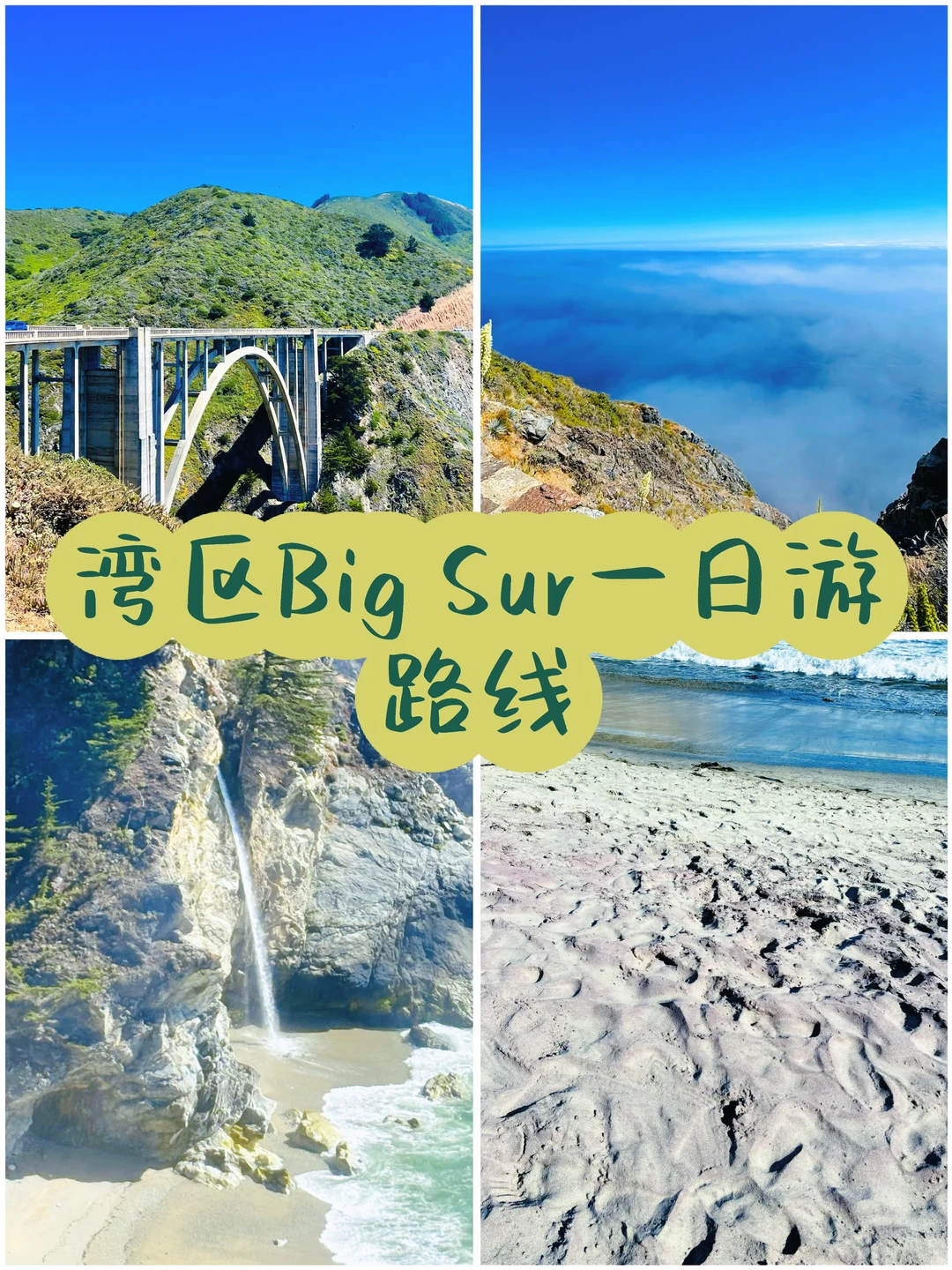 湾区Big Sur一日游攻略！长周末安排
