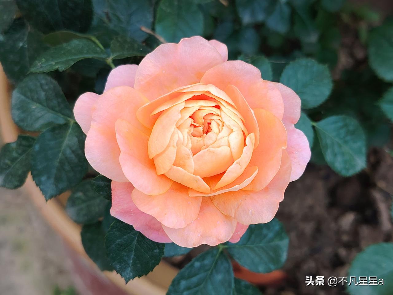 不用上班的人都是靠什么生活的那些不用上班的人，并非纯粹躺平，大多有着各自稳定的生