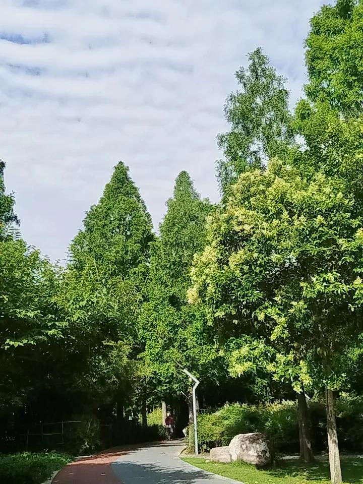 分享一下你随手拍的照片