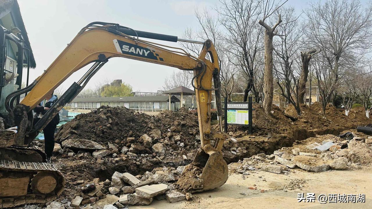 临沂动植物园即将惊艳亮相！目前，动植物园迎来迁园以来最大规模馆舍和基础设施升级改