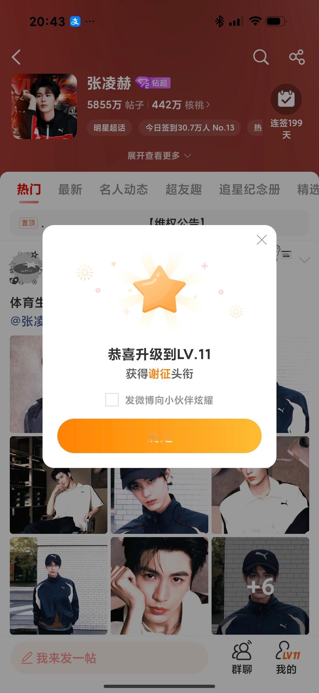 11级  专栏 · 鞠婧祎or朱志鑫and张凌赫