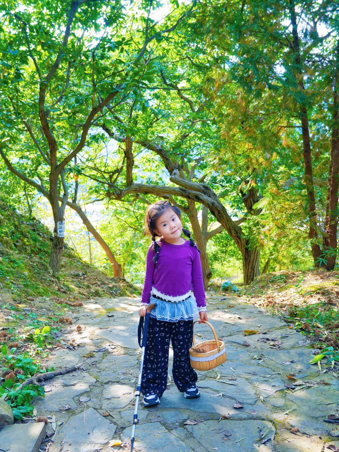 10.17北京登山赏秋🚗开车不远遛娃免费❗️