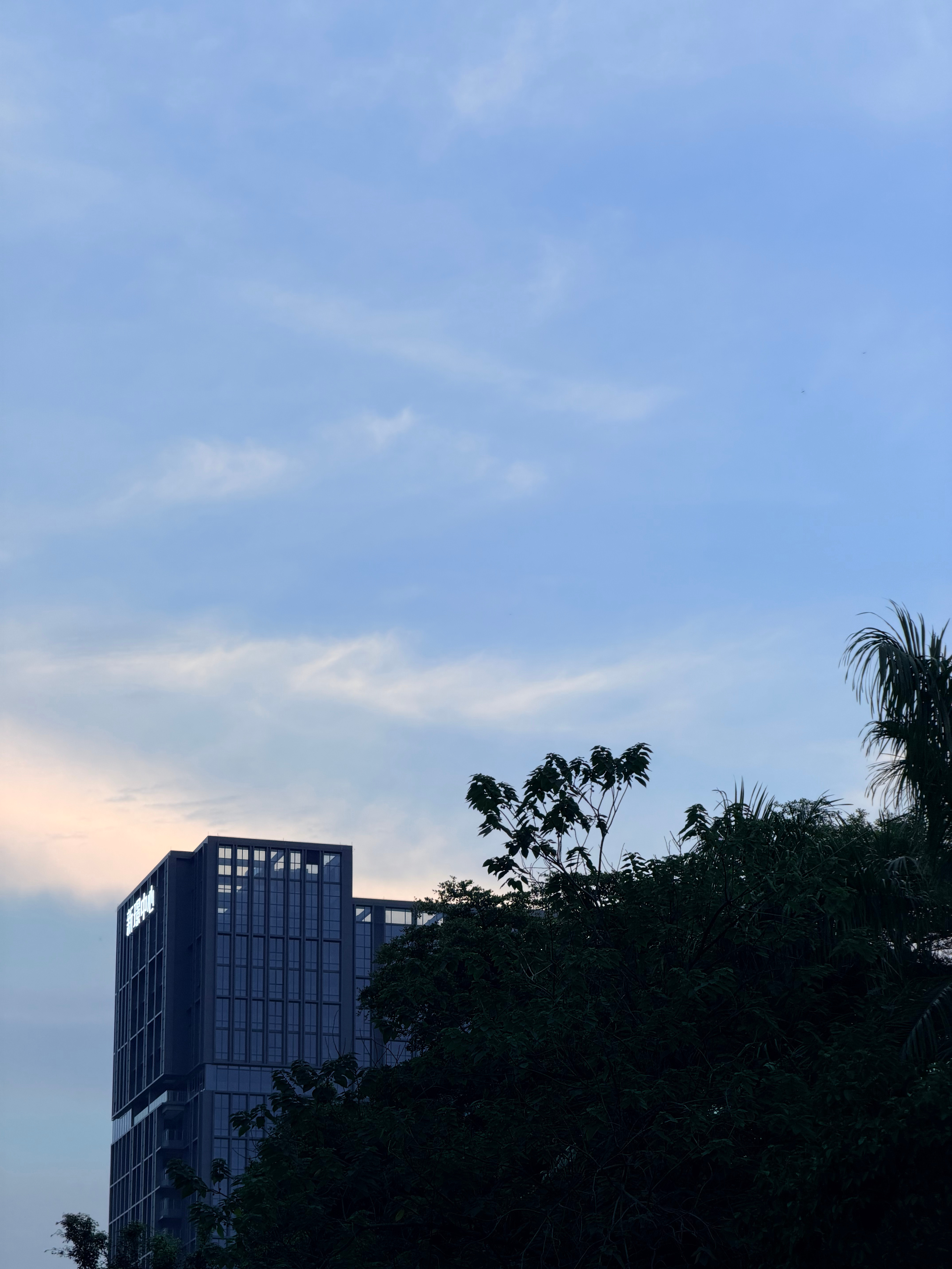 🌇 