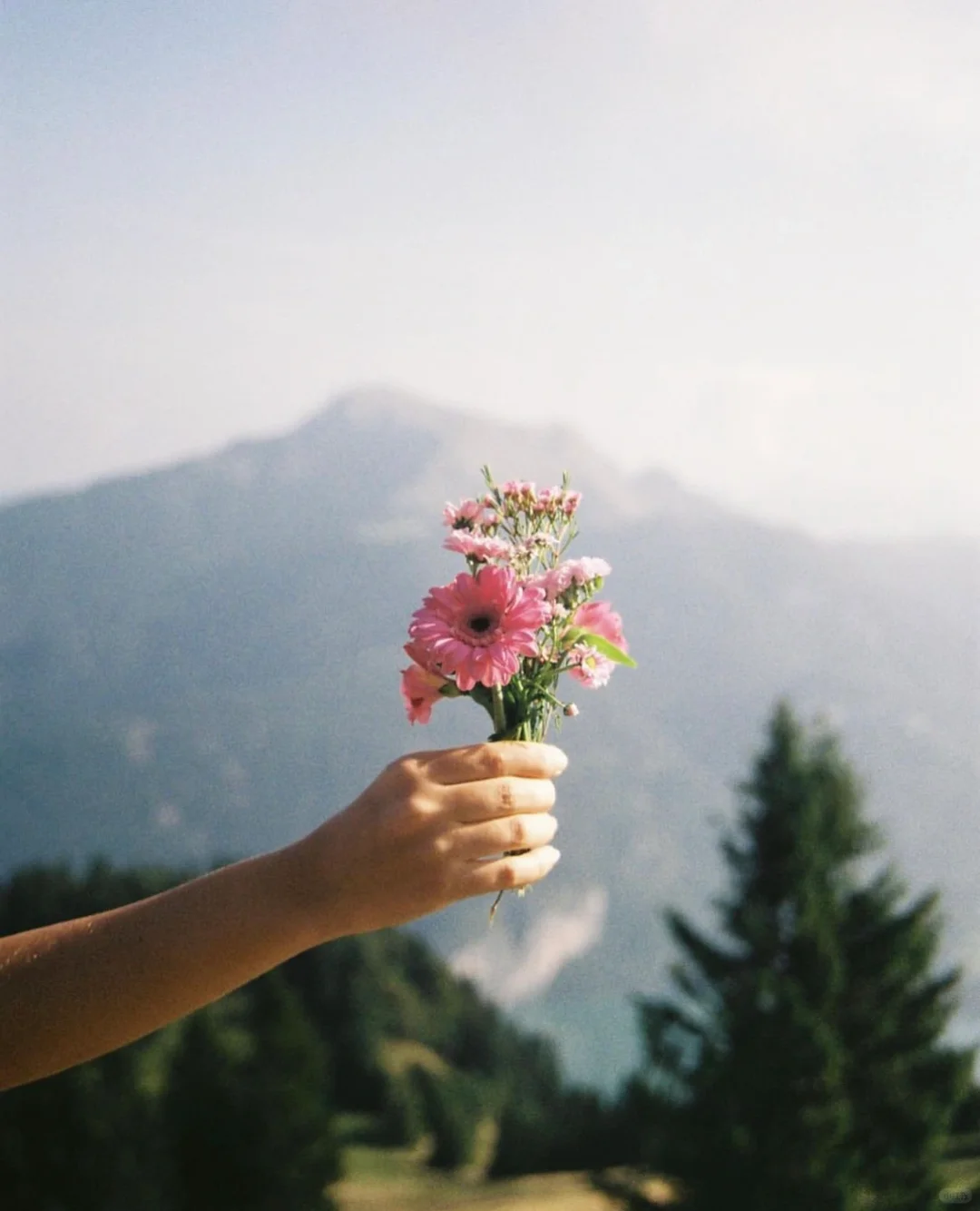 “𝓦𝓲𝓵𝓭 𝓛𝓲𝓯𝓮”