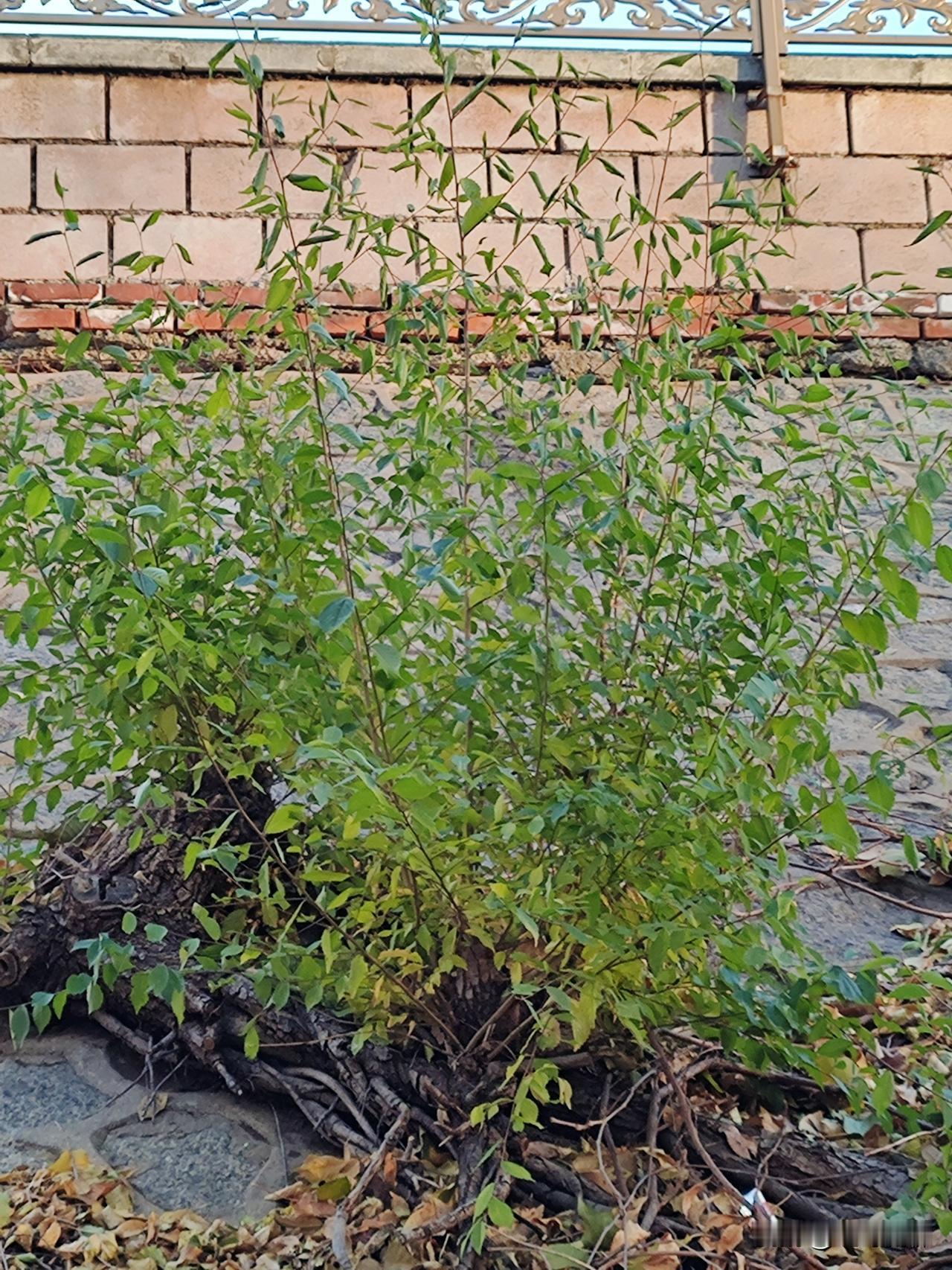 私人影院主要有这些乱象：
私人影院存在色情交易、暗藏摄像头、卫生状况差、安全隐患