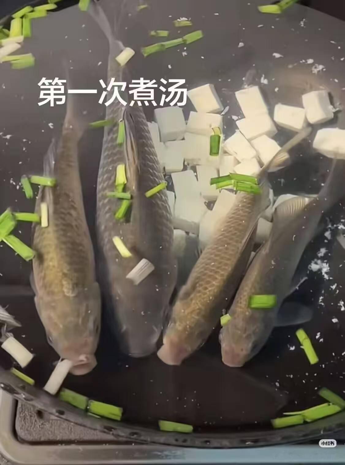 还有饲料 ​​​