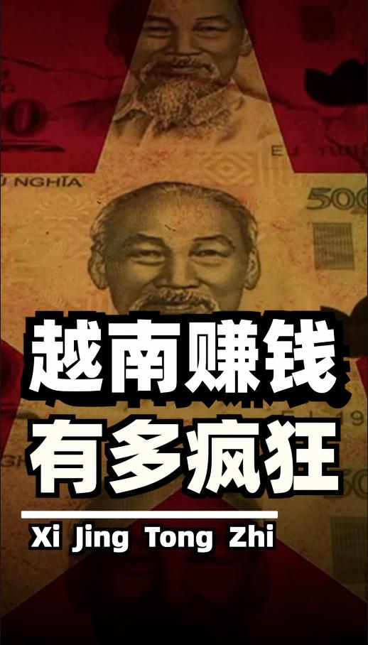 越南军营里流传着一句玩笑话："坦克不如楼盘值钱，步枪不如账本顺手"。这支全球唯一