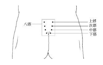 多擦“生殖穴”，男人暖肾，女人暖宫
什么穴位这么厉害呢？它就是——“生殖穴”，其