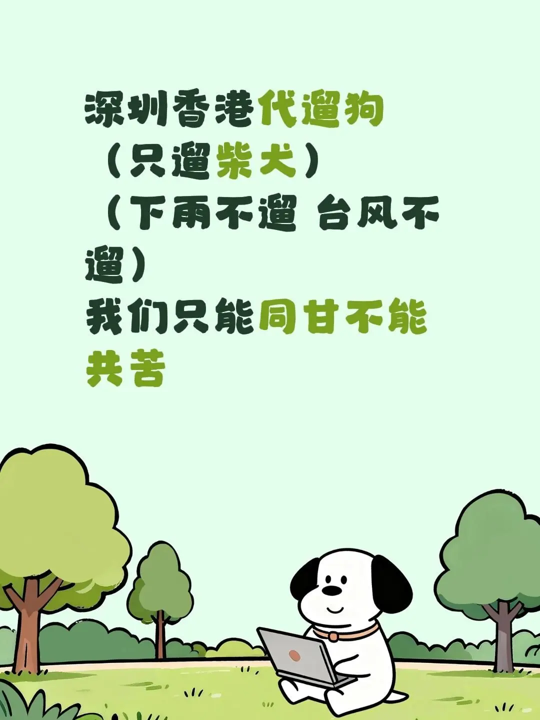 柴犬