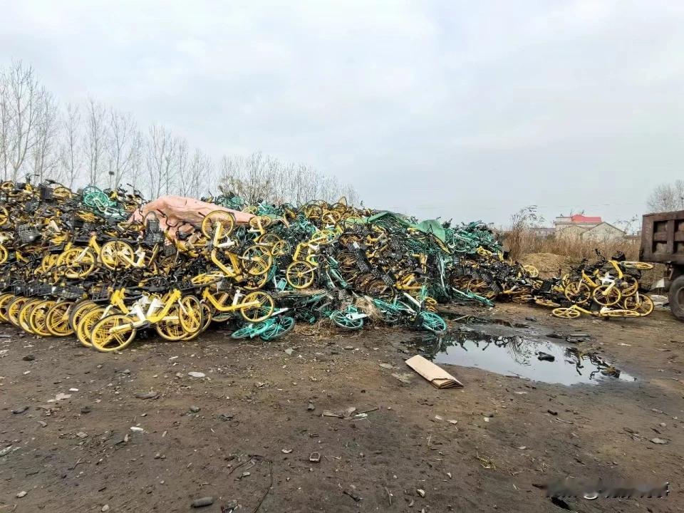 2023年6月1日，上海市公安局破获一起特大共享单车盗窃案，11人团伙累计盗窃各