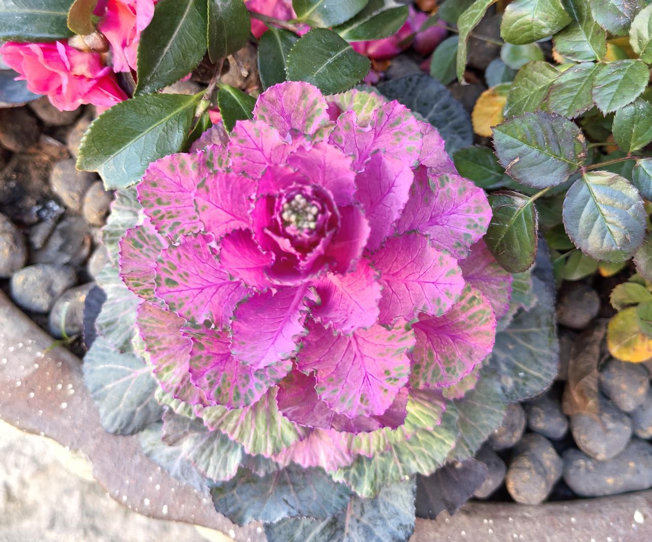 去父留子需谨慎。两头婚，是到目前为止，相对来说最公平的婚姻模式。

我从来不支持