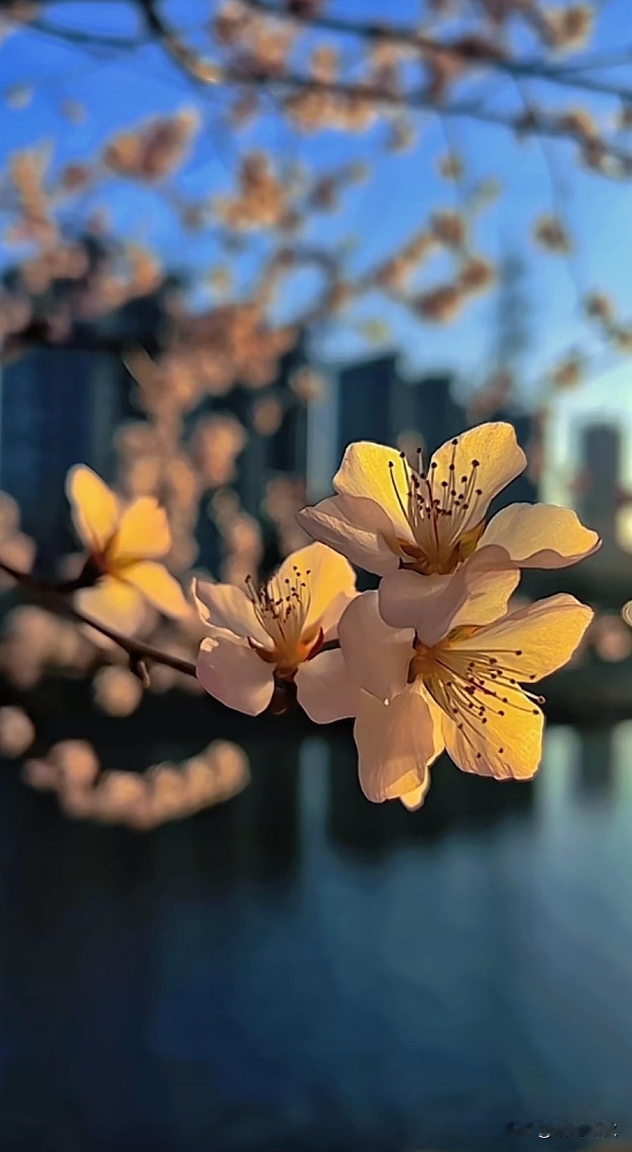 生活慢慢来，
所有美好都会如期而至。