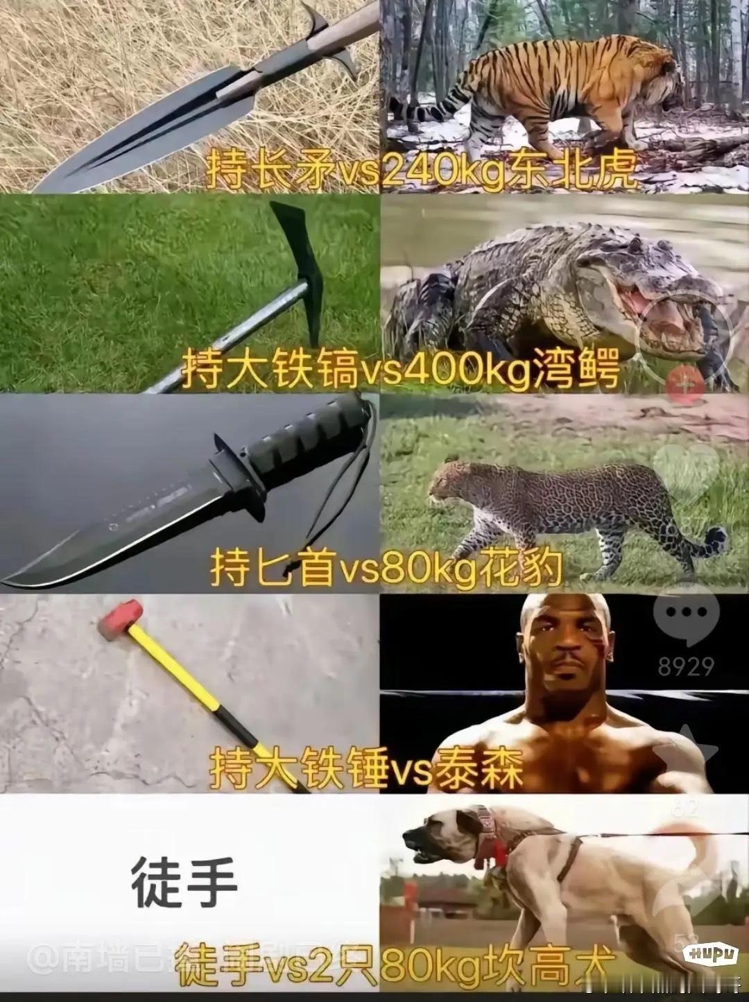 对你而言，下面这些选项最有把握最有信心的是哪个？ ​​​