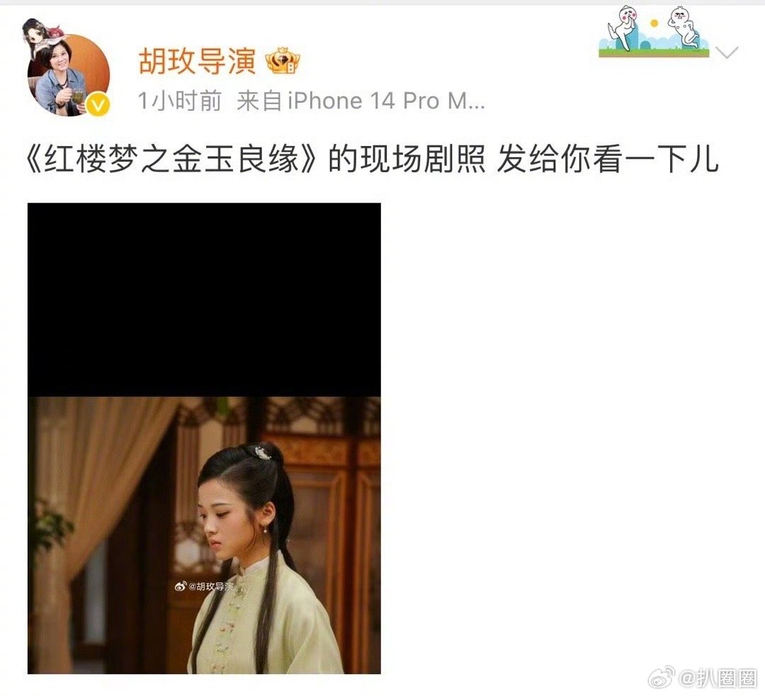 扑街使人发疯，前有上海堡垒连发“这是烂片？？？？”后有红楼梦之金玉良缘导演连发现