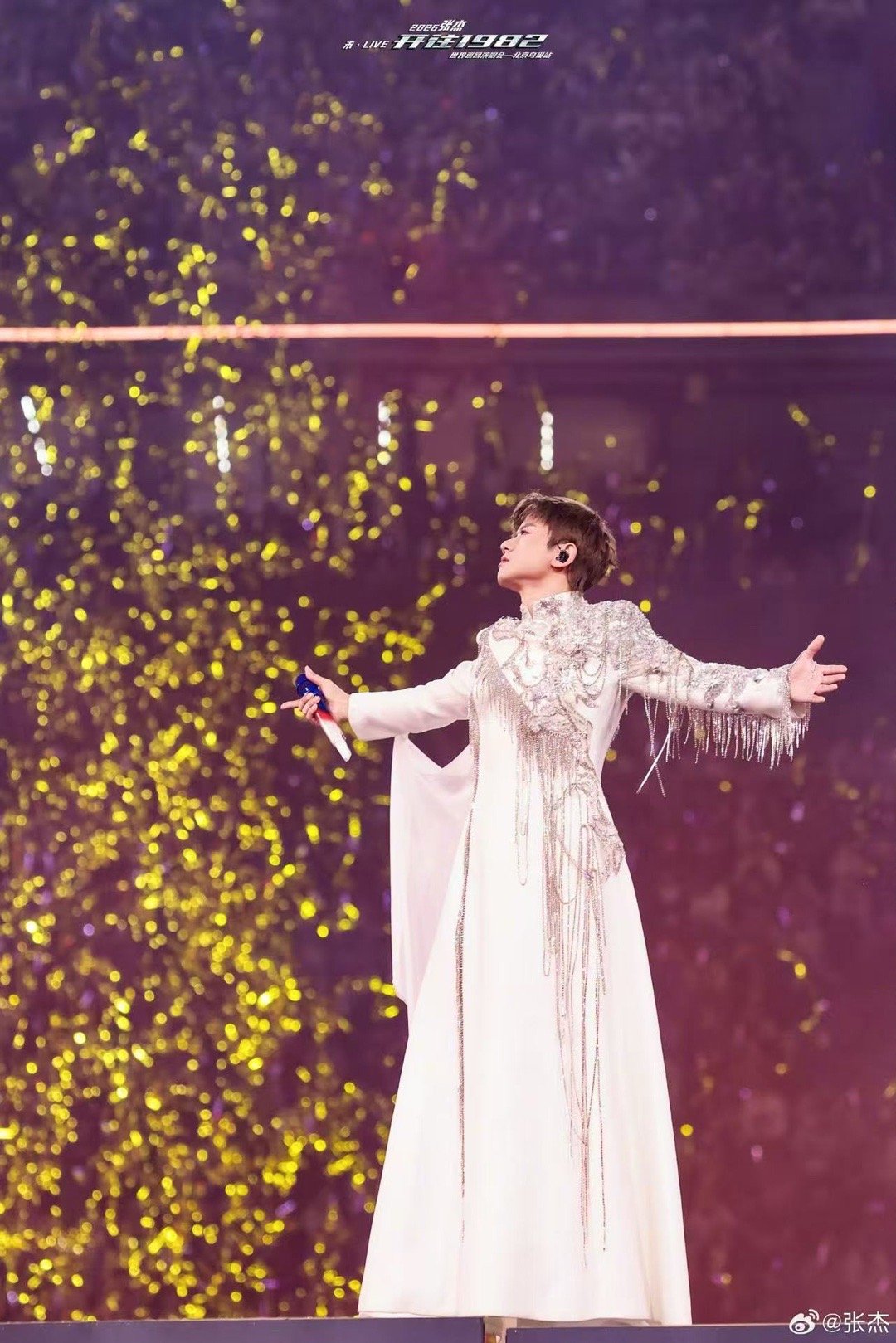 在张杰演唱会上看到蝴蝶了 救命！被张杰演唱会造型狠狠惊艳到，灵动又梦幻的风格，真