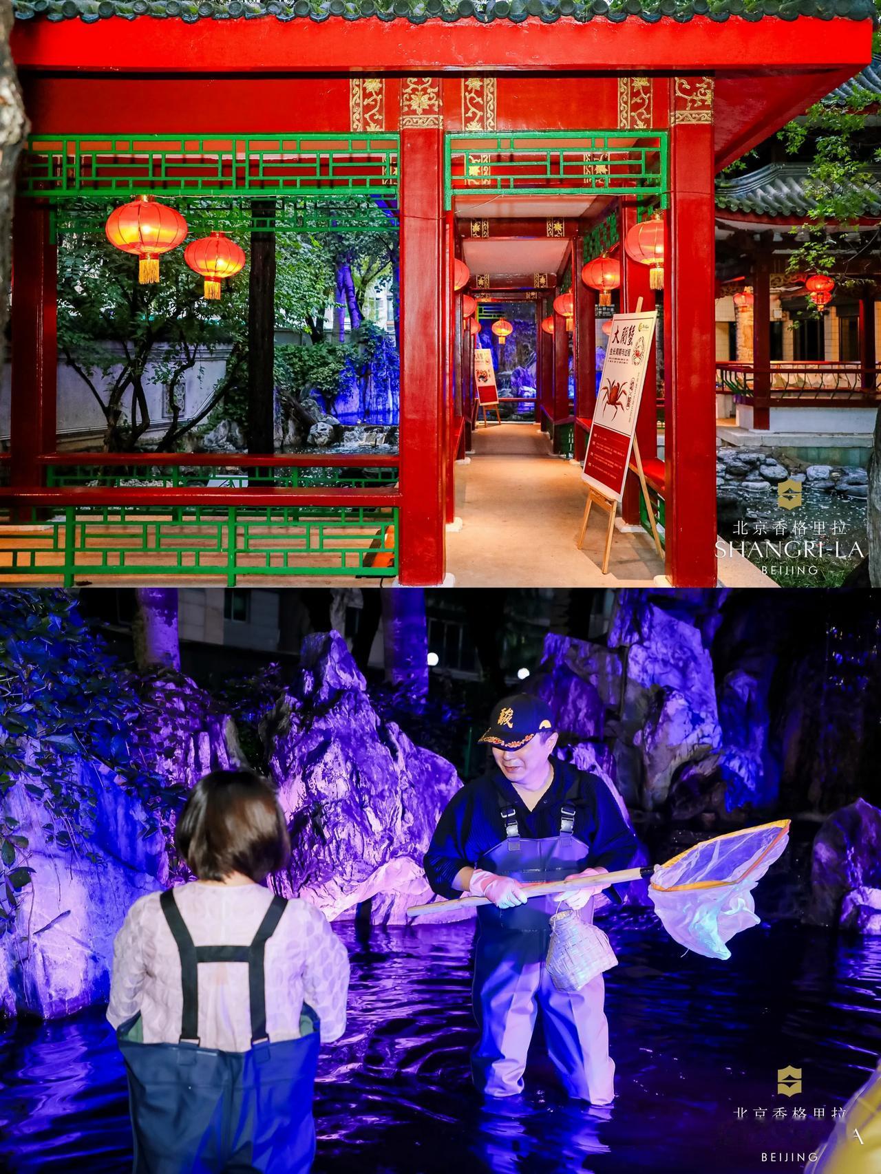  
🍂秋风起，蟹脚痒，持螯赏菊，品时令美馔已成为香格里拉“寻蟹季”的传统，如今
