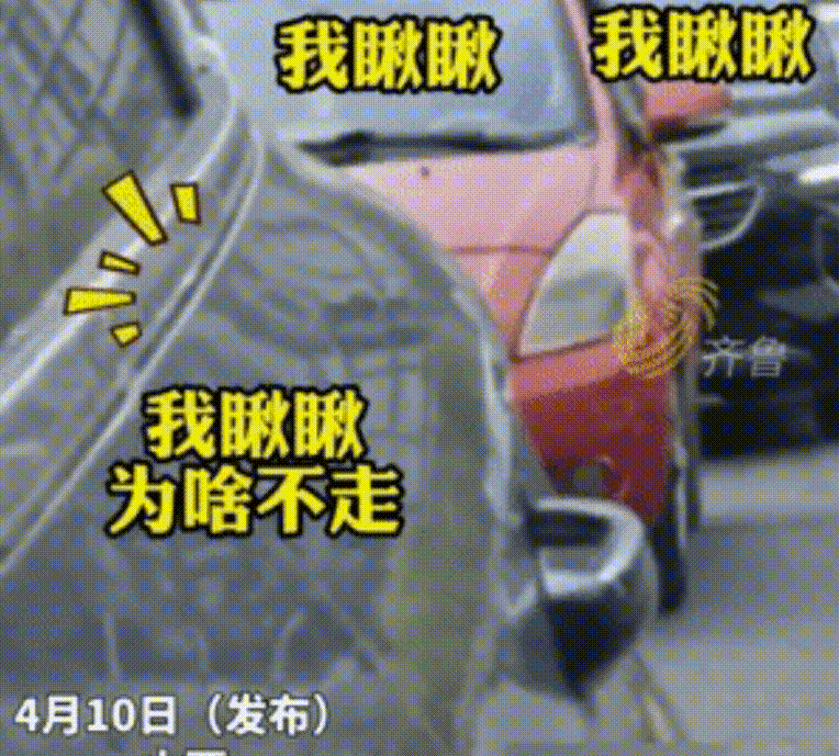 所以为啥这条街上的汽车排成了S型？