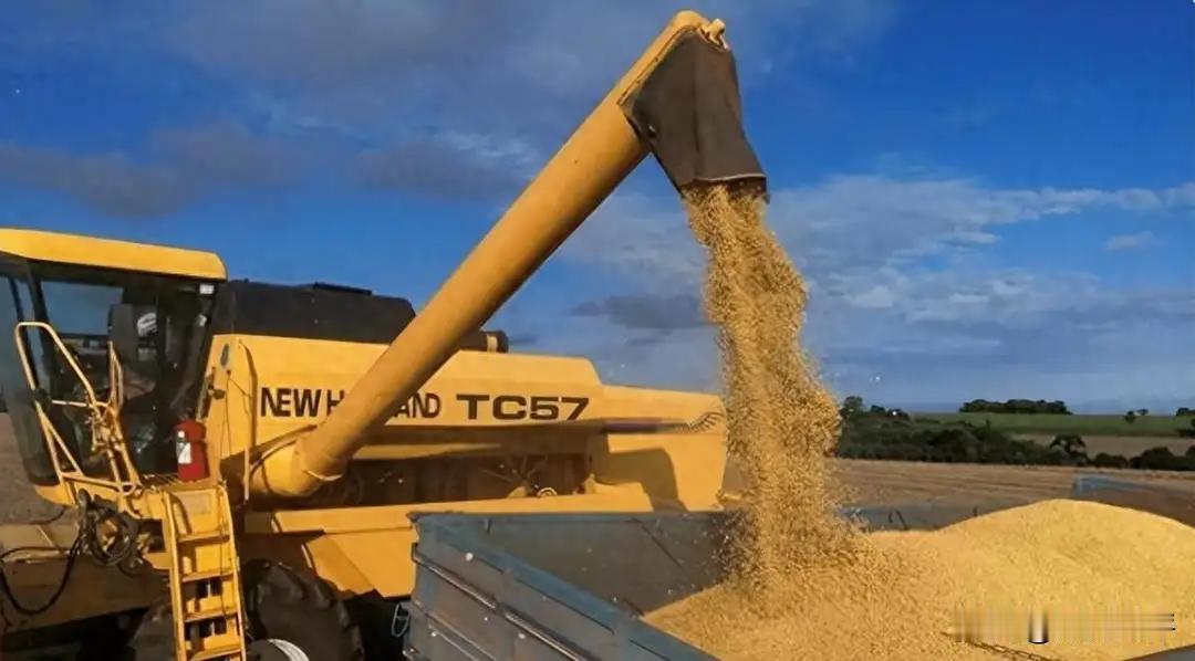 中国拒购涨价巴西大豆，巴西随即反制，并对华发起反倾销调查
 
中国停止从巴西进口