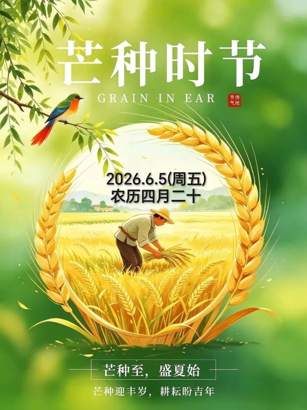 芒种，是夏天的第三个节气，也是一个充满节奏感的节气。窗外如织的蝉声和热烈的阳光，