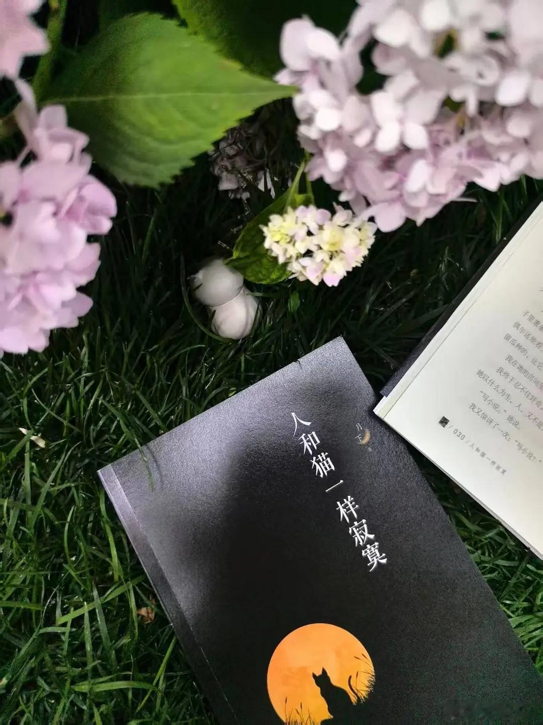 知書club 新书介绍丨本书讲述了一些边缘人的生存状态，他们的孤独、空虚和苦闷…