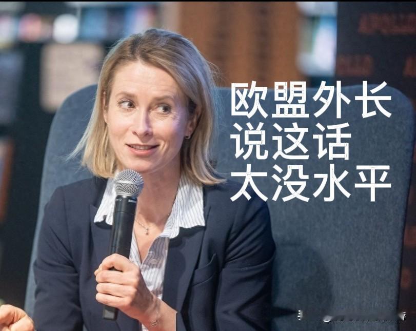 脑子拎不清！欧盟外长奇葩言论让人看不懂

2026年5月17日，在爱沙尼亚塔林举