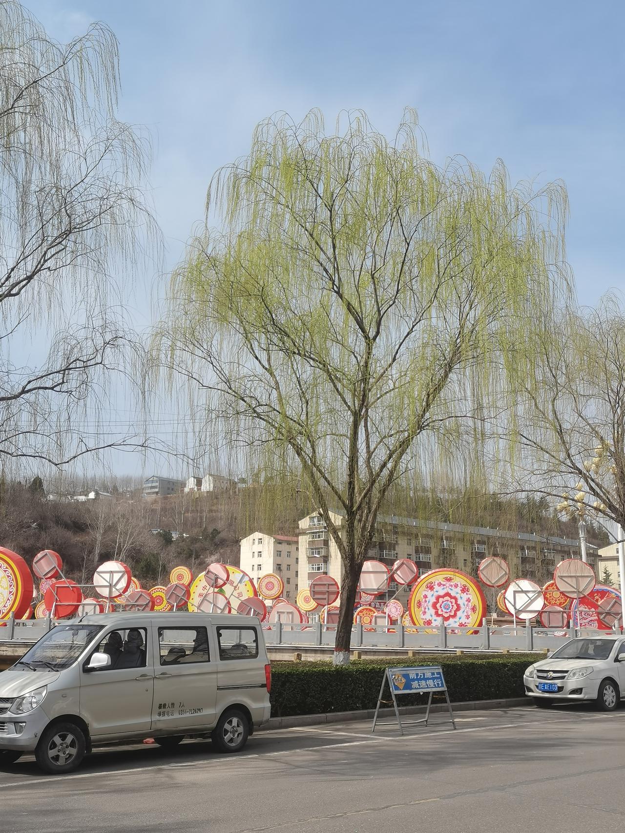 一眼望去，柳条已吐露新绿，这般不期而遇的春意，更是动人！绿柳暖春意