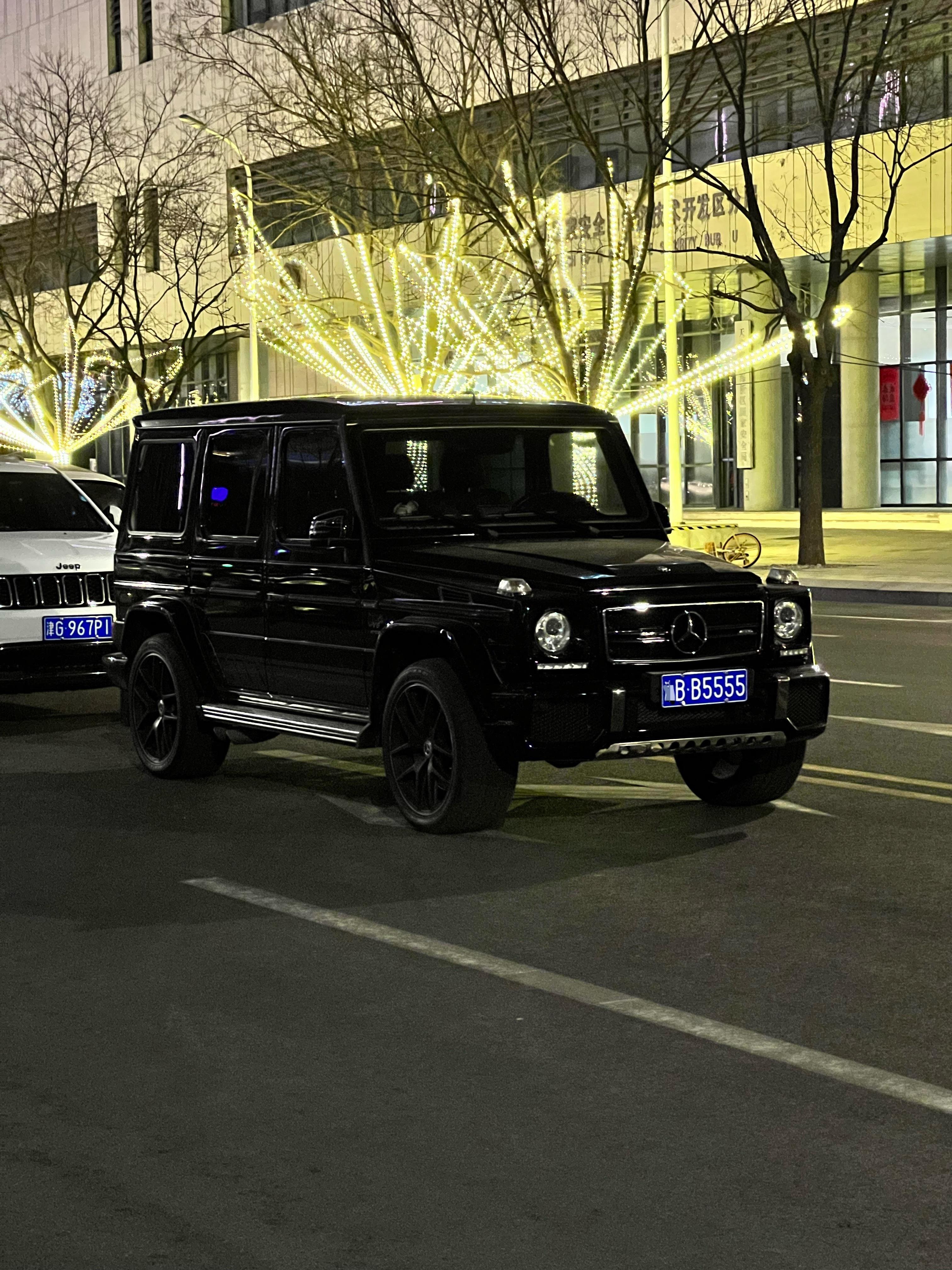 车好 牌也好这一代G结束的时候，有大佬专门进口了一台V12的G65回来收藏当时着