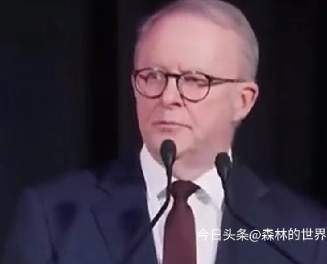 中国暂停采购澳洲铁矿，巴西网友狂喜:这泼天的富贵终于轮到我们，谁能想到，中澳铁矿