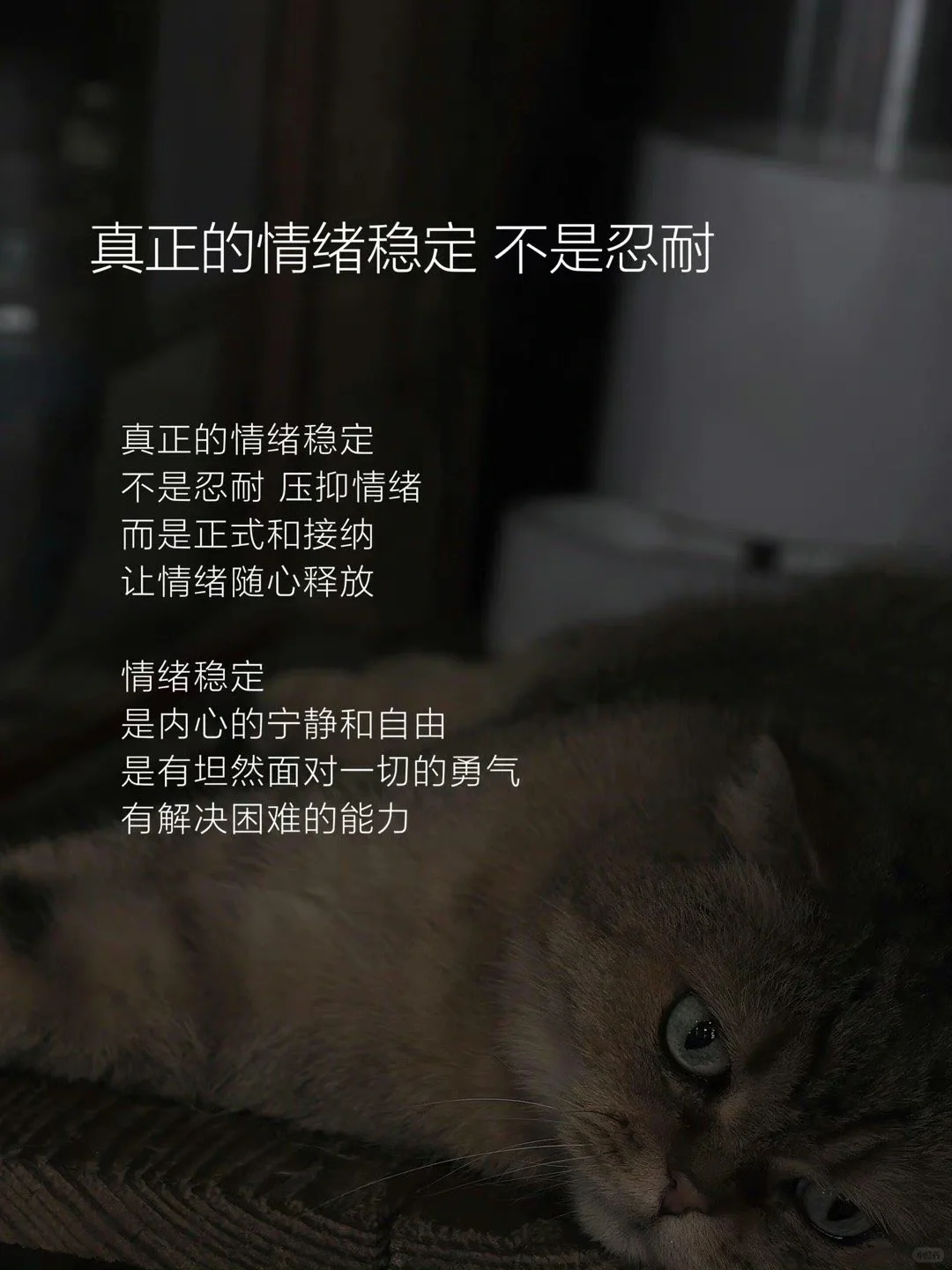 真正的情绪稳定不是忍耐
