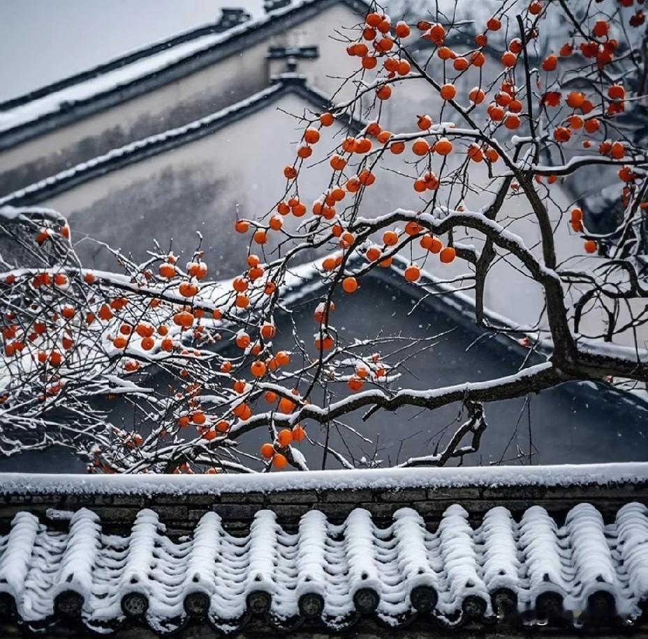 你发现没有，很多老人习惯呆在家里闲门不出，原因在哪里？
老人习惯待在家里，闭门不