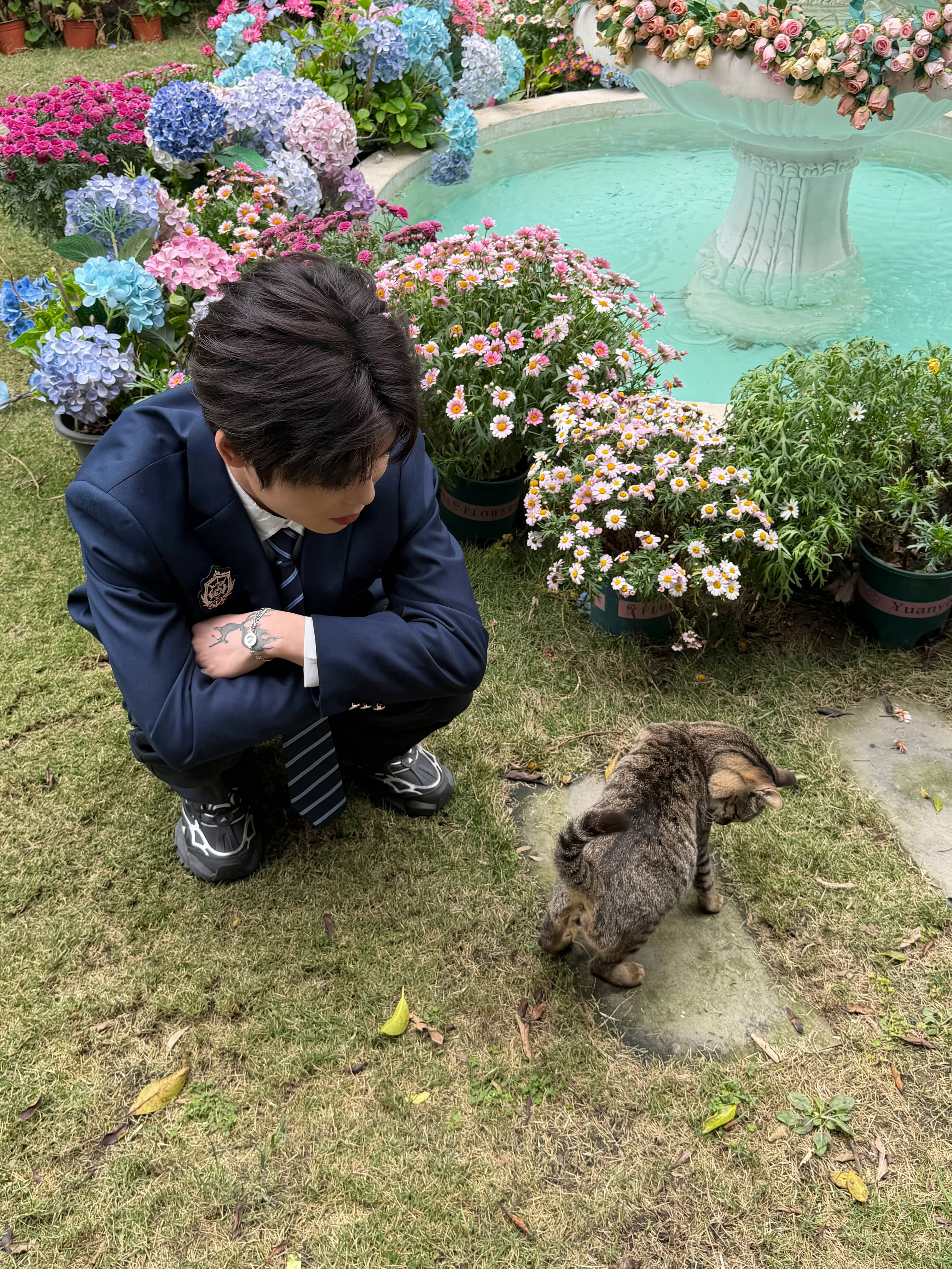 北斋i  感觉图里有两只猫！2026pel春季赛2026pel