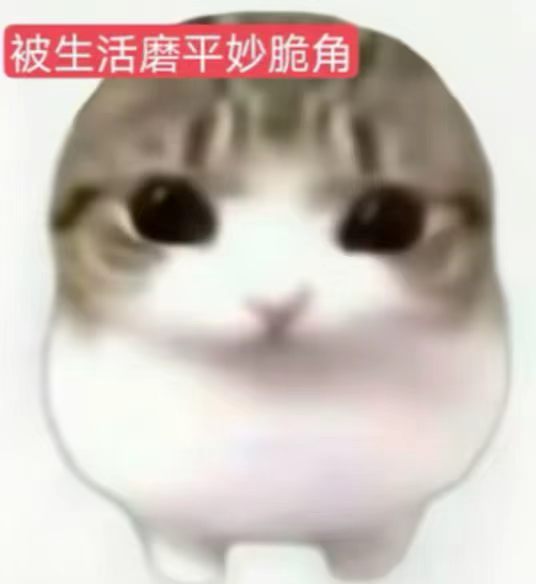 迪丽热巴 关于红裤衩这件事，星星有两点要说！第一.第二.你们对星星这两点有什么看