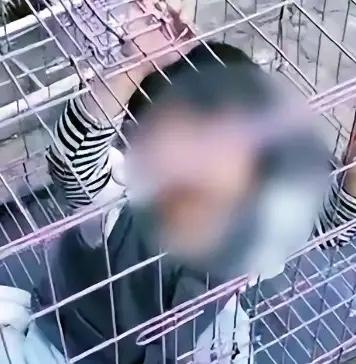 婆婆沉迷打麻将成瘾，为了不被两岁哭闹的孙子打扰，狠心把孩子关进阳台狗笼。任凭孩子
