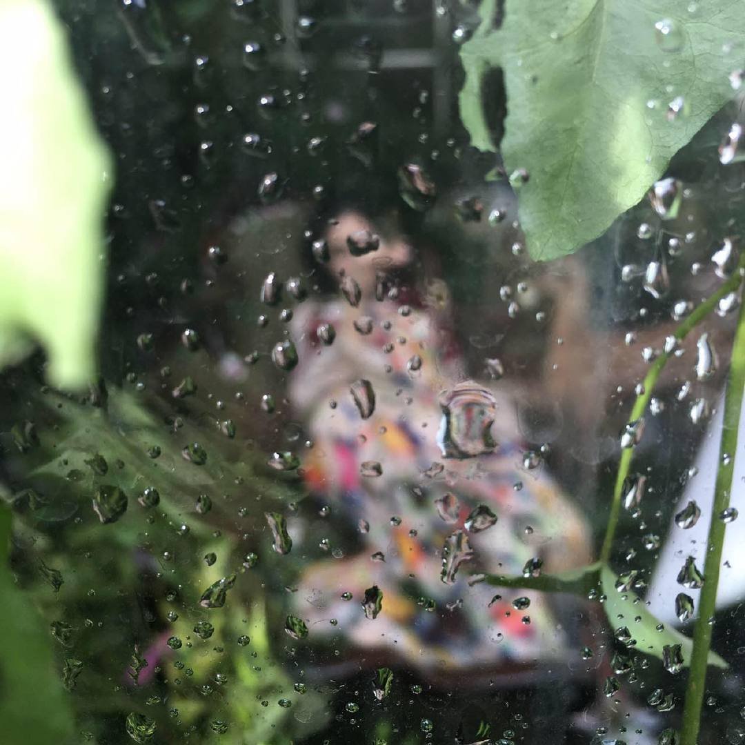 𝐀𝐧𝐠𝐞𝐥𝐚𝐛𝐚𝐛𝐲•永不言败的绿和封存回忆的那年夏等长 