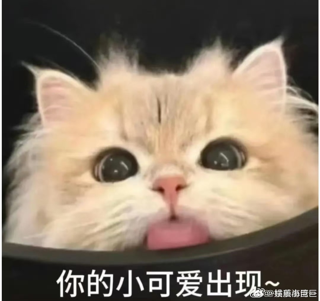 这届高考祝福给到一个夯 现在网友送高考祝福脑洞真的超大，小猫出镜温柔送考抚平紧绷