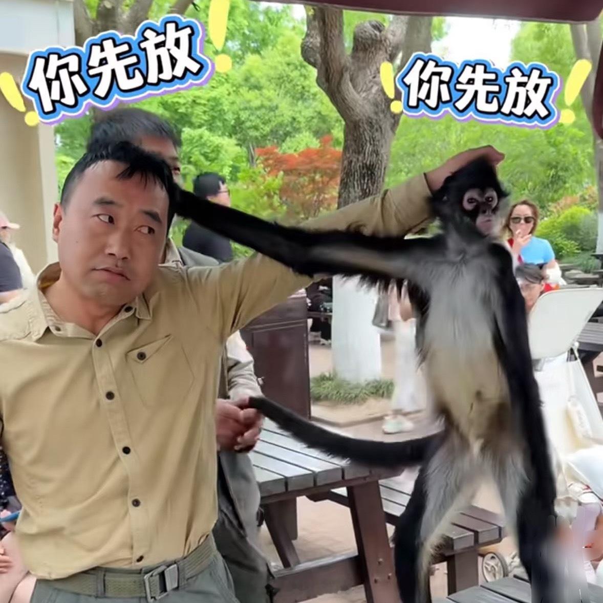 影石对大疆发起反诉影石Luna相机刚在美国上市，大疆就在德州东区法院起诉专利侵权