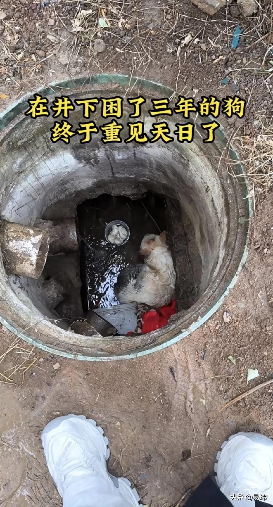 泪目了！这天一位小哥哥和几个同事一起去一家饭店吃饭，当他们走到饭店附近的时候，听