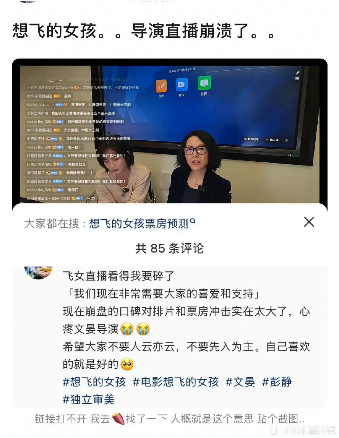 刘浩存文淇《想飞的女孩》导演直播崩溃了，你觉得是选角的问题还有剧本的问题？[思考