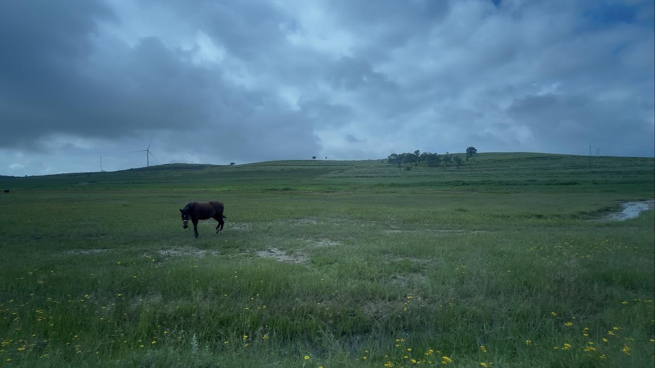 【V看张家口闯入宫崎骏的夏天：张北草原天路自驾日记】在海拔1600米的云端公路上