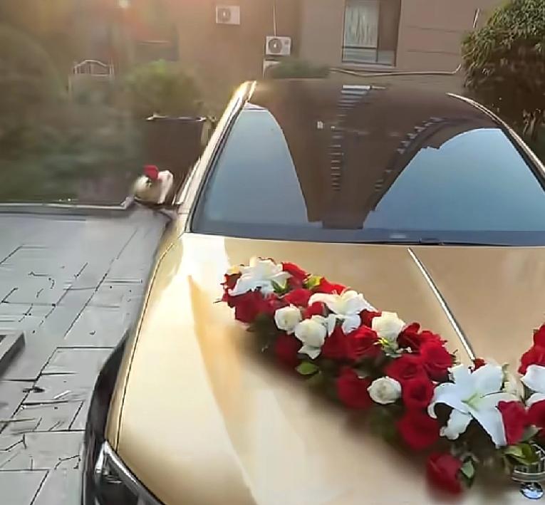 现在的年轻人果然懂得生活
沈阳一男子贷款买了一辆百万级豪车，而且根据男子诉说，自