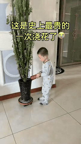 快点掐人中，亲生的，亲生的，亲生的……