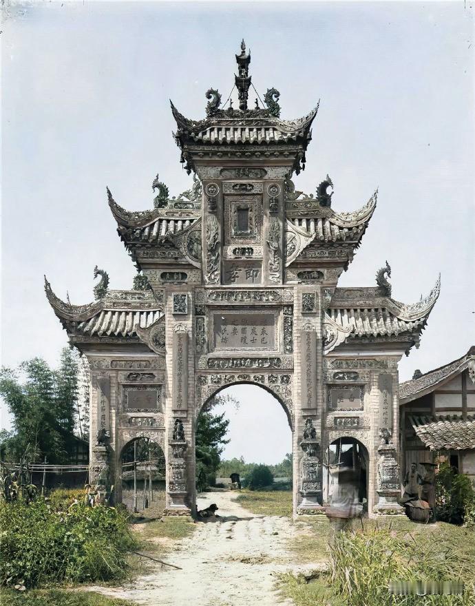 英国植物学家和探险家亨利·威尔逊（Ernest Henry Wilson）镜头下