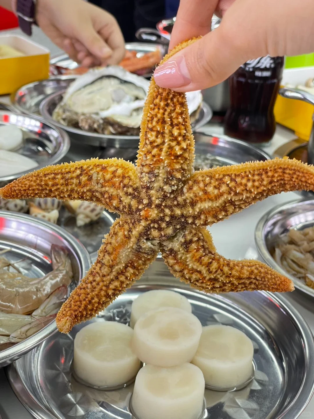 小榄又一家新的一人一锅海鲜火锅！