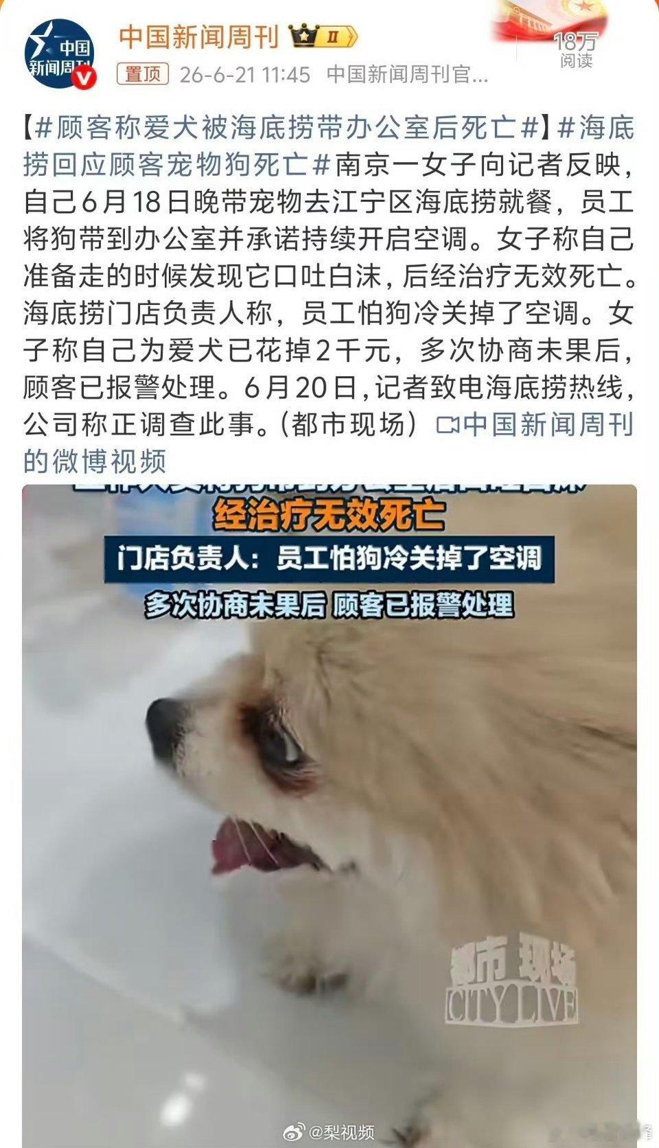 海底捞门店回应顾客宠物狗死亡狗死亡的真正原因到底是什么，这才是区分责任的关键。如