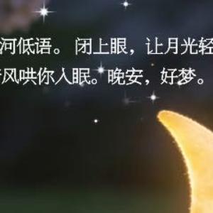 晚安心语 不必追赶月亮，不必讨好世界，此刻只需要安心入眠。愿你一夜好眠，无梦也安