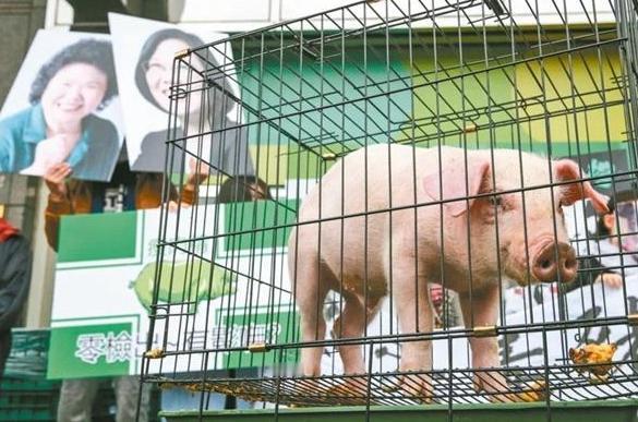 [浮云]郑丽文狠批民进党，为讨好美国开放莱猪与花生零关税，台湾老百姓食品安全面临